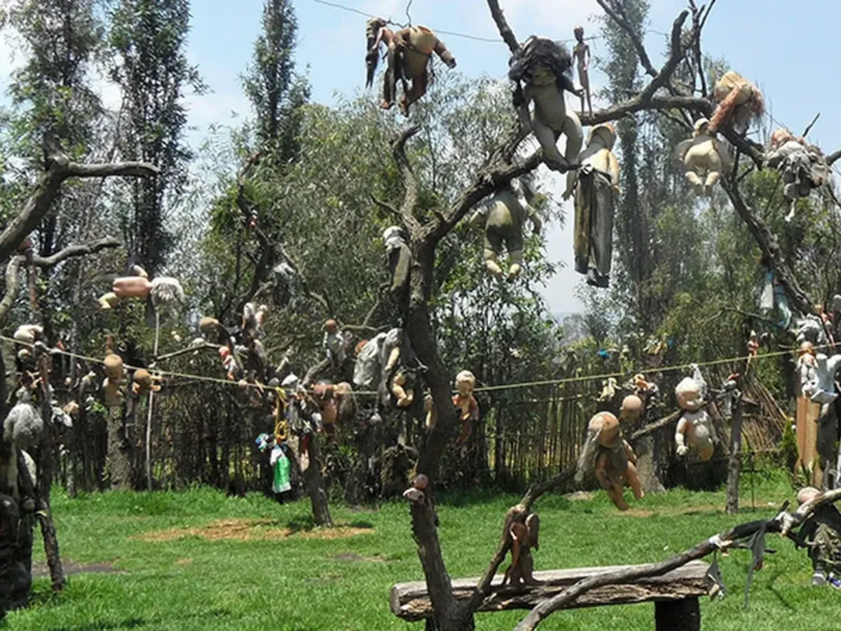 Imagem ilha-bonecas